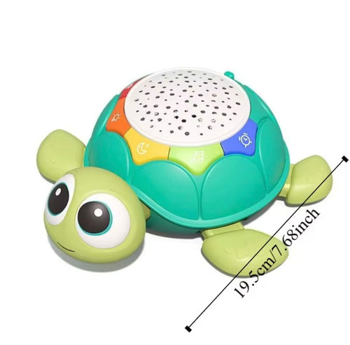 Crawling Turtle Toy