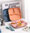 Unbreakable Square Divided Plates – Eco-Friendly & Family-Friendly 🌿✨