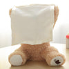 Interactive Peek-a-Boo Teddy Bear