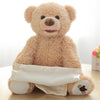 Interactive Peek-a-Boo Teddy Bear