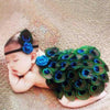 Peacock Newborn Photography Prop - MyShoppingSpot