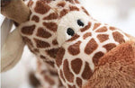 Friendly Plush Giraffe - MyShoppingSpot