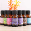 Pure Tea Tree Essential Oils - MyShoppingSpot