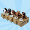 Doggy Coin Box - "So fun to watch, I had to buy one of each!" Dale - Customer - MyShoppingSpot